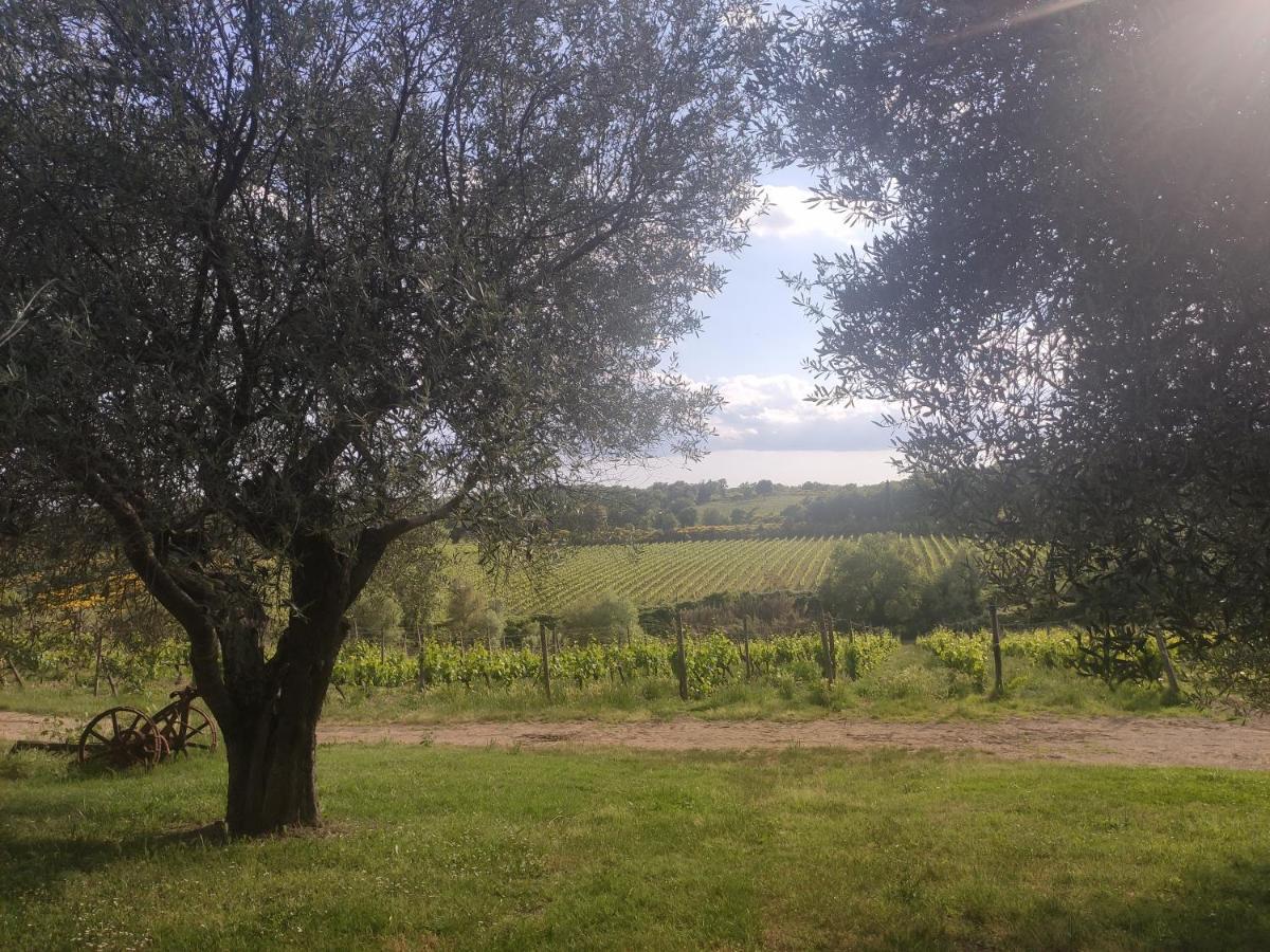 Borgo Villa A Tolli Castelnuovo dellʼAbate Zewnętrze zdjęcie
